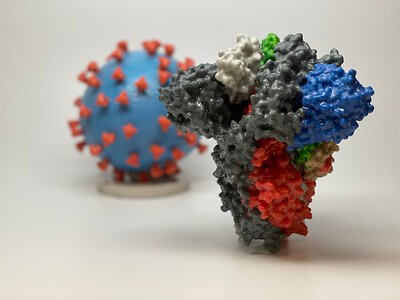SARS-CoV-2 Spike Protein and Genetic Markers