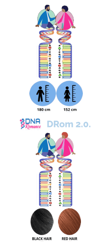 DRom2.0 Predicts Chemistry with Increased Accuracy and Precision